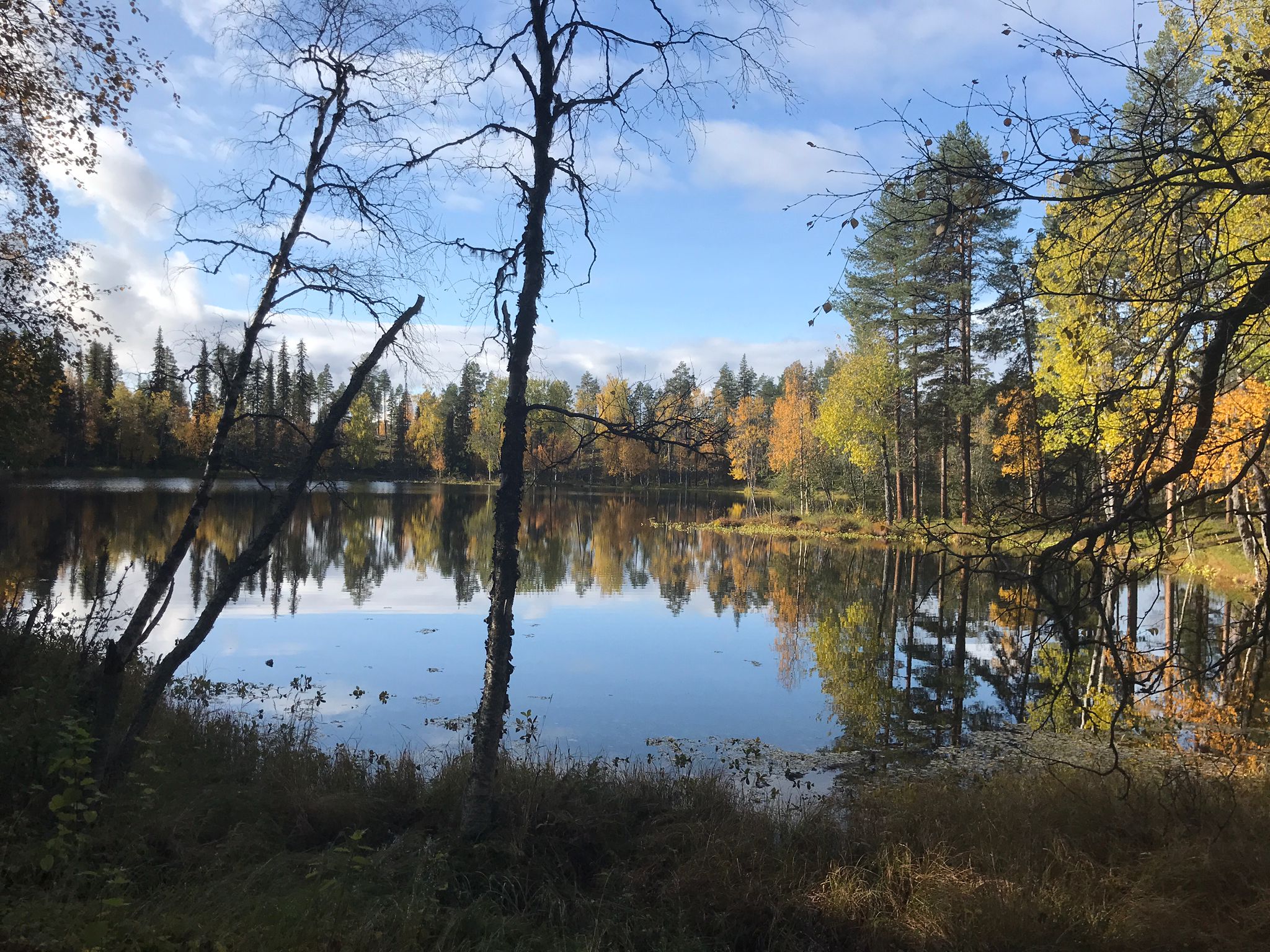 Hosiojärvi