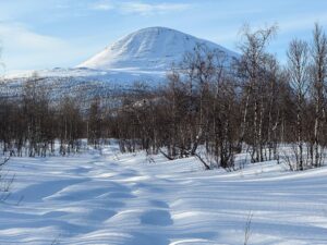 Bild av Kirunafjällen på vintern